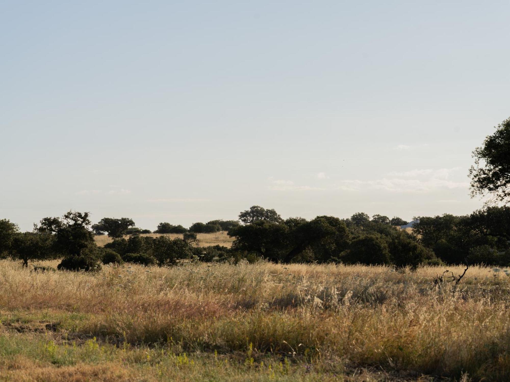 Change The World - Herdade Monte Do Peral Montes Juntos Buitenkant foto